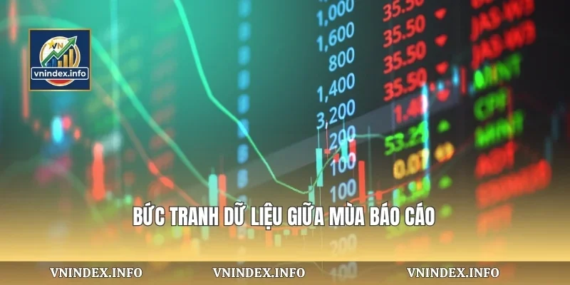 Bức tranh dữ liệu giữa mùa báo cáo