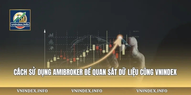 Cách Sử Dụng Amibroker