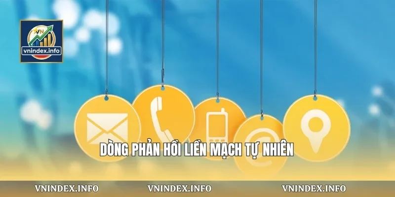 Dòng phản hồi liền mạch tự nhiên