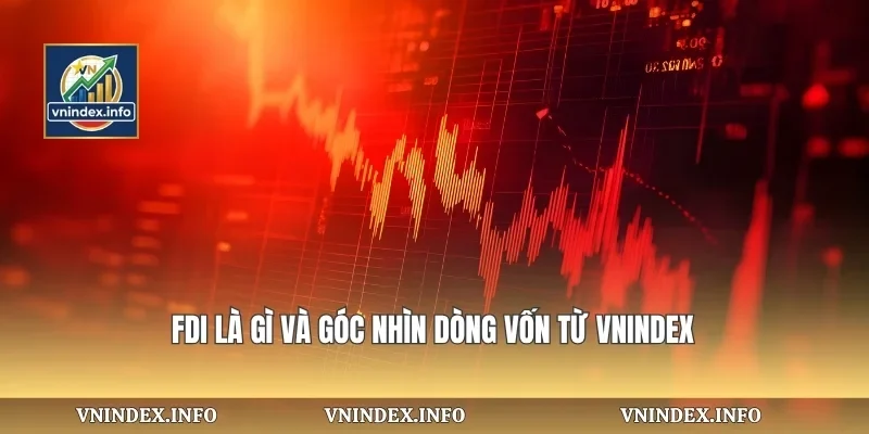 FDI Là Gì Và Góc Nhìn Dòng Vốn