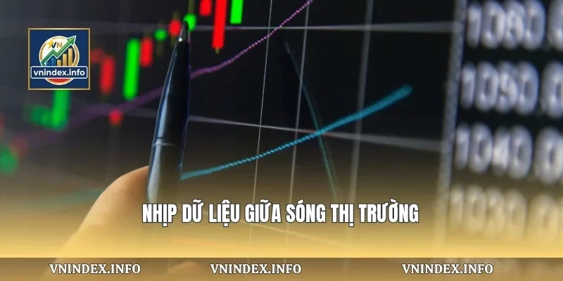 Nhịp dữ liệu giữa sóng thị trường