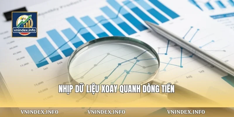 Nhịp dữ liệu xoay quanh dòng tiền