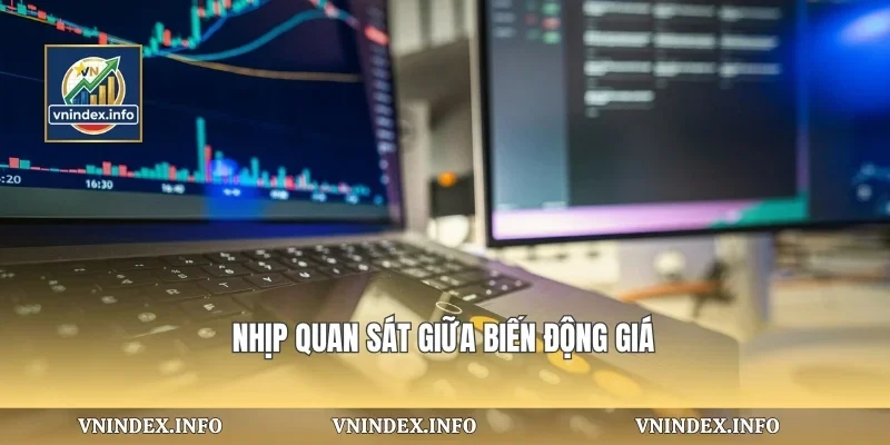 Nhịp quan sát giữa biến động giá