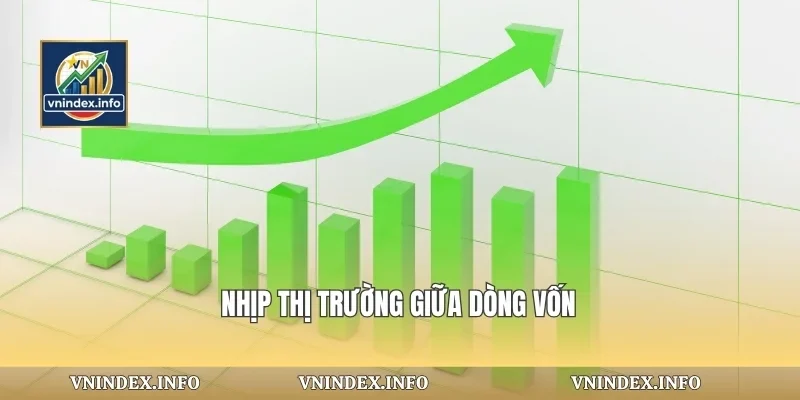 Nhịp thị trường giữa dòng vốn