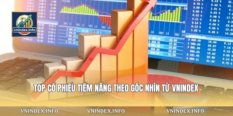 Top Cổ Phiếu Tiềm Năng