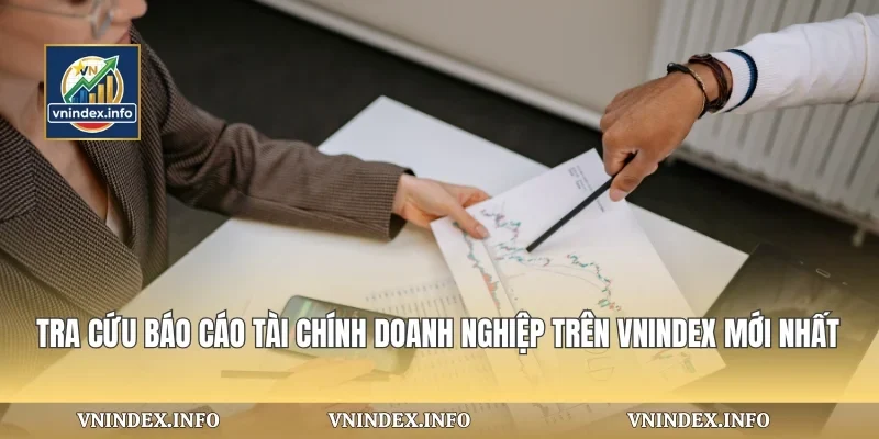 Tra Cứu Báo Cáo Tài Chính Doanh Nghiệp Trên VNIndex Mới Nhất